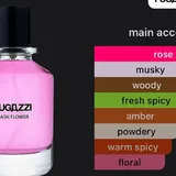 Fugazzi Cash Flower 2