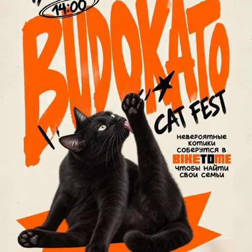 BUDOKATO CAT FEST — фестиваль котов
