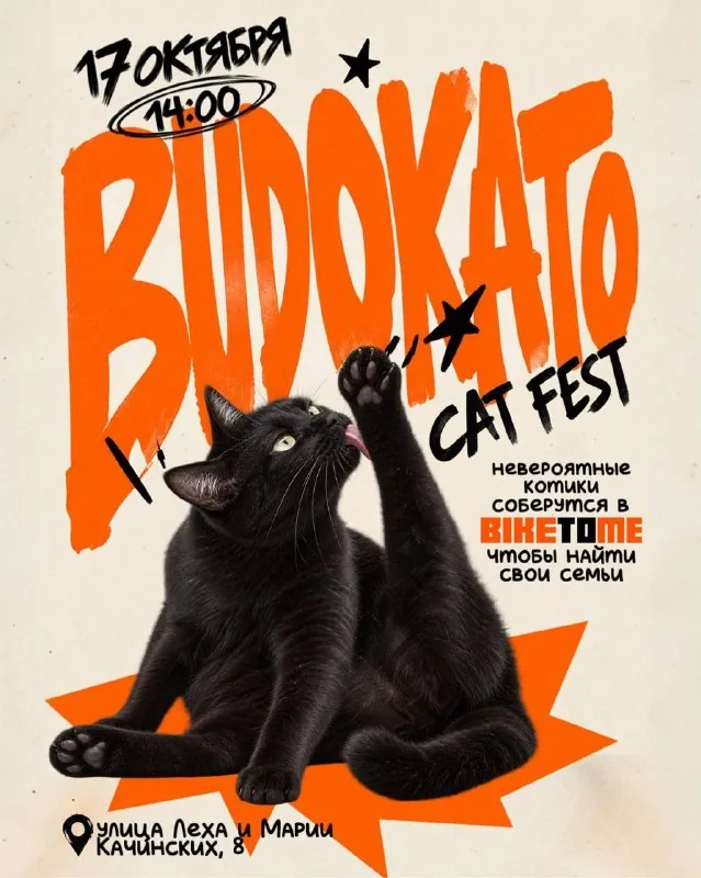 BUDOKATO CAT FEST — фестиваль котов