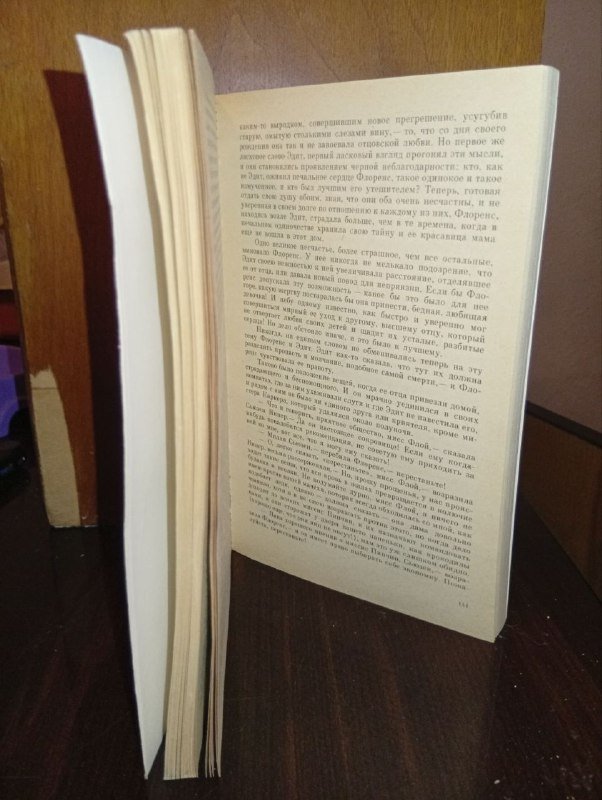 Книги: Диккенс Домби и сын в двух книгах 2