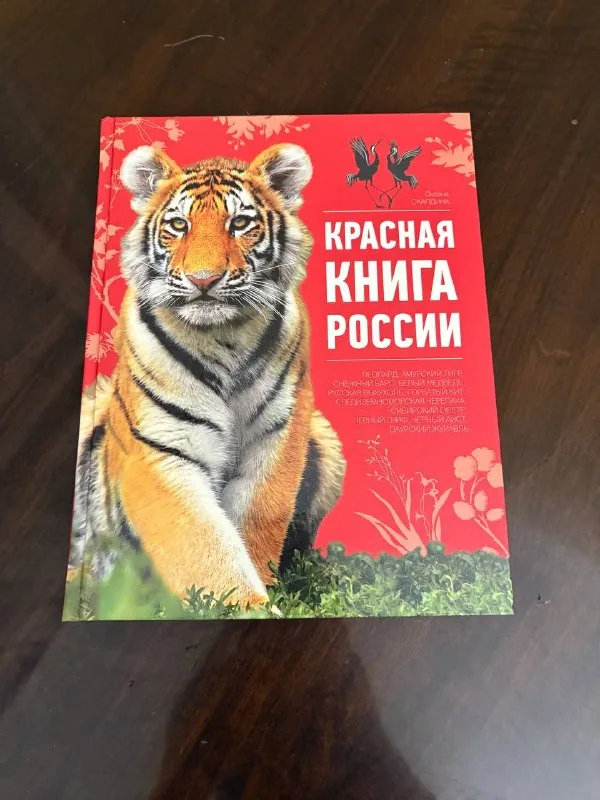 Книги 1