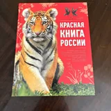 Книги 1