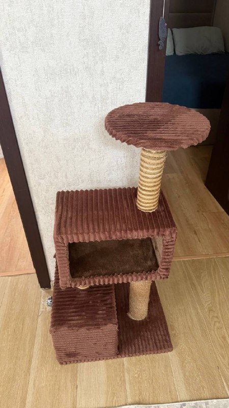 Кошачий комплекс-когтеточка 2