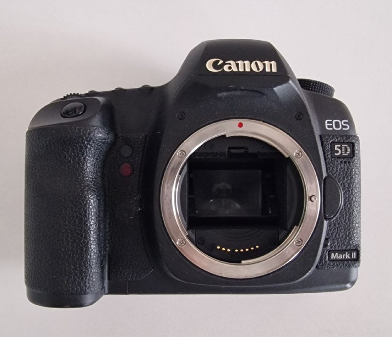 Canon EOS 5D Mark II камера, объектив Canon EF 24-70mm f/2.8L, вспышка Godox V1-C 5