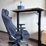 Дорожка FlexiSpot WPS02, стол FlexiSpot, игровое кресло Jysk ABILDAA 4