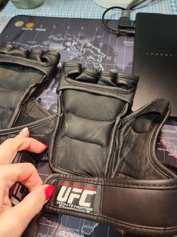 Перчатки UFC MMA для тренировок единоборств 2