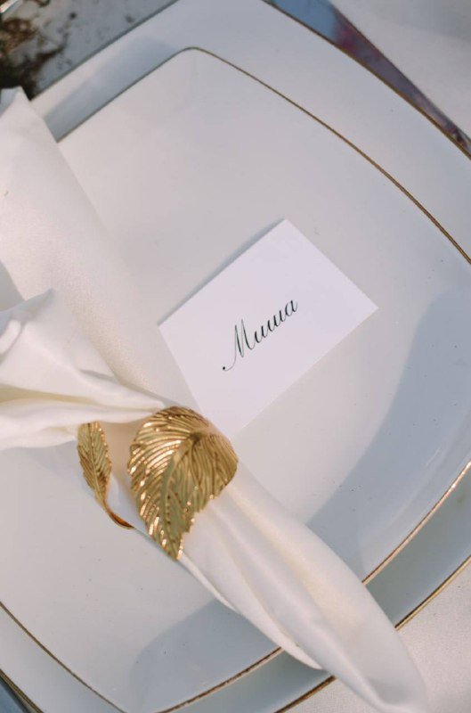 Свадебный декор скатерть, тюль, салфетки и кольца 2