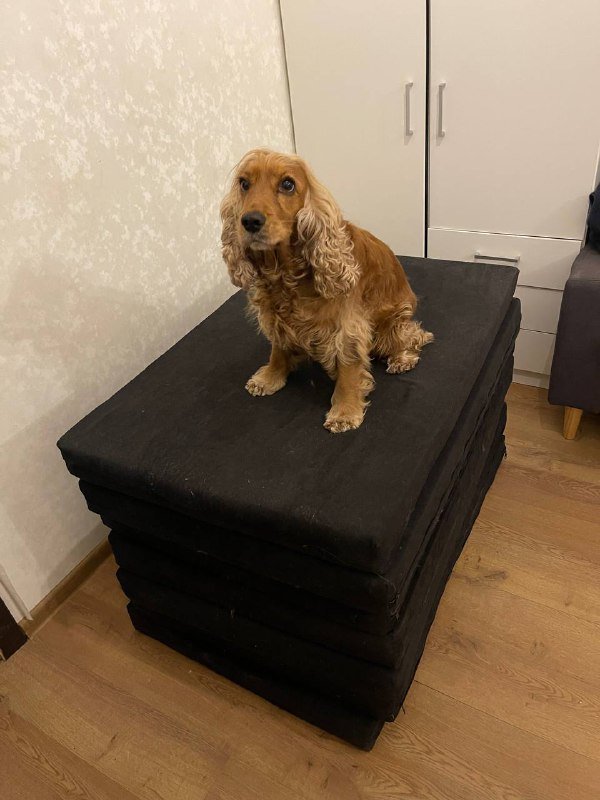 Подушки размер 110/60/10 мягкий паралон чехол на змейке