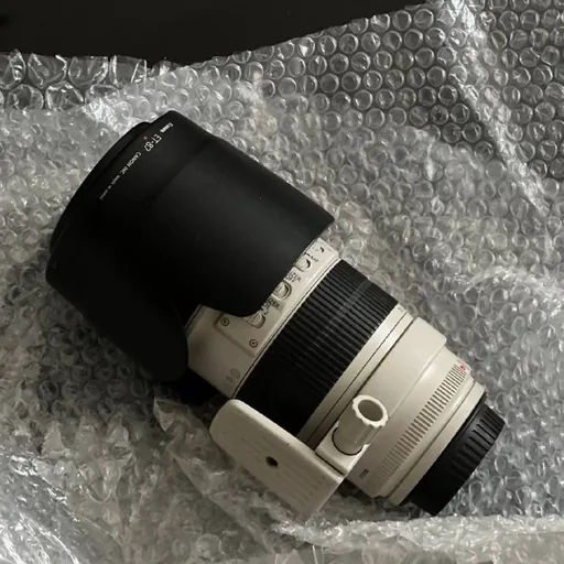 Canon EF 70-200mm f/2.8L IS II