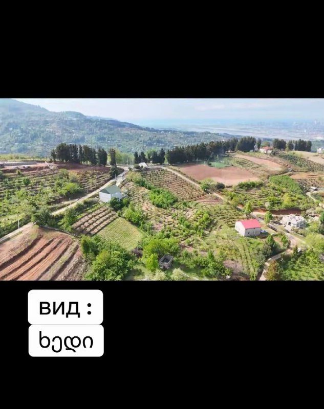 земельный участок в Тхилнари 5000 кв.м. 2