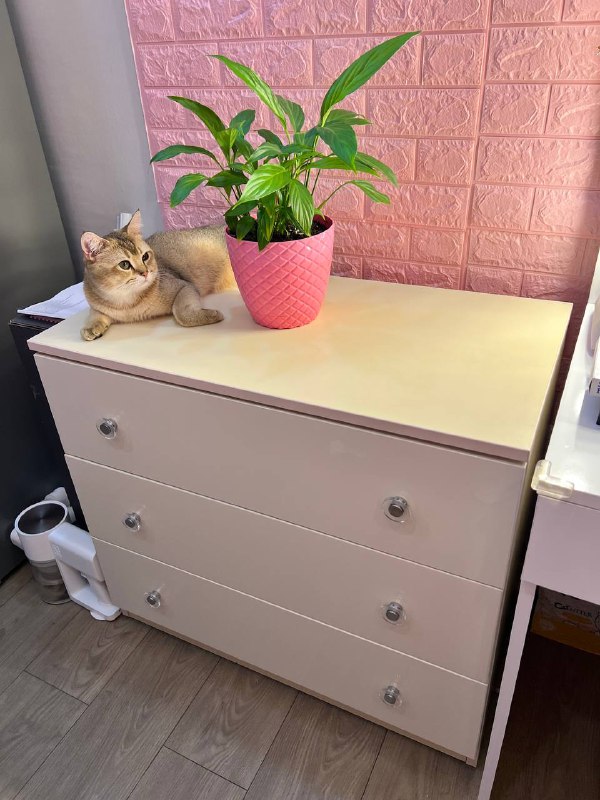 Продаю комод 2