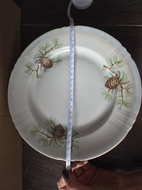 Большие тарелки, 5 шт 2