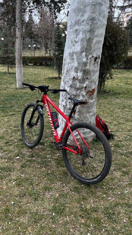 Горный велосипед Specialized Rockhopper 29 L 2