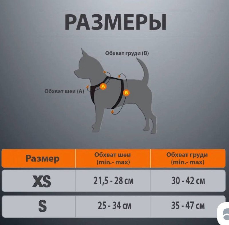 Бронежилет для собак размер XS 4