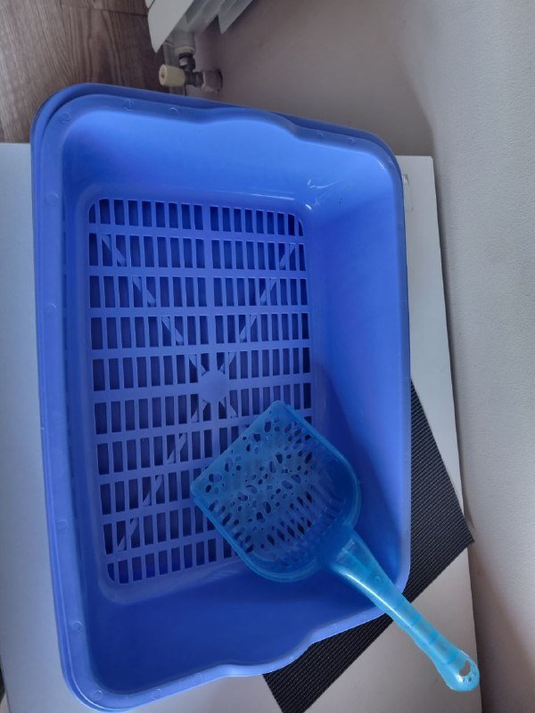 Трусы для собак, лоток со снимаемой сеткой, маленький лоток 3