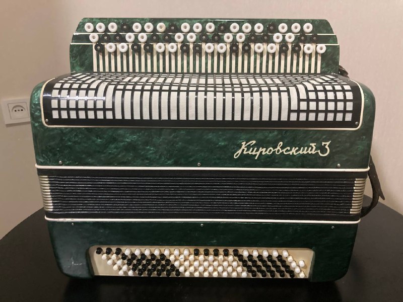 Духовка, вентилятор, пылесос, офисное кресло, рейл для одежды, шкаф-пенал, комод, турецкий ковёр, ортопедическая подушка, баян 10