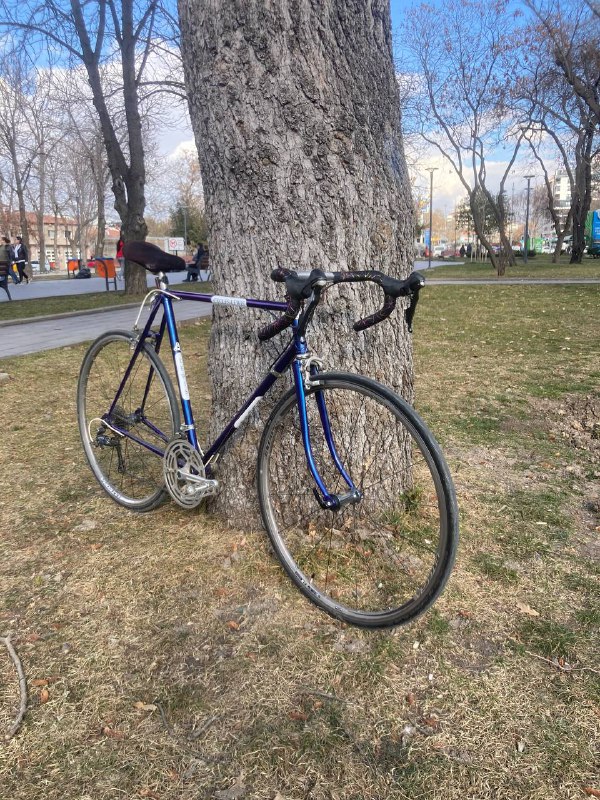 Lewis Cycles Ultegra Dura Ace upgraded 1