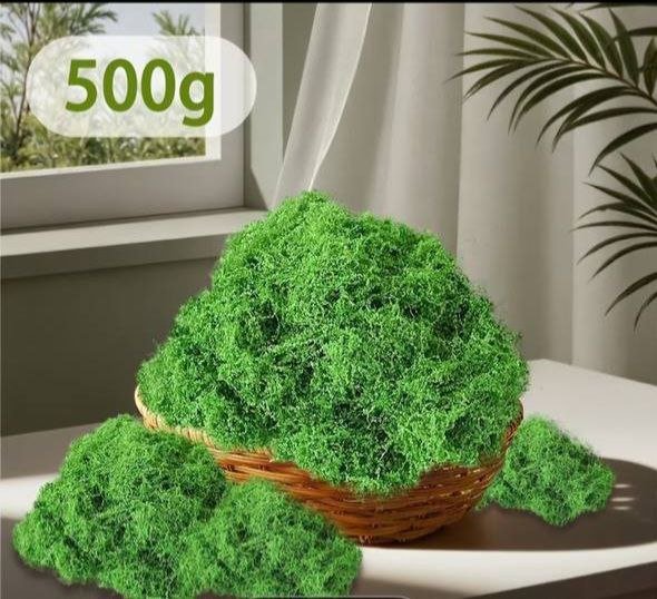 Декоративный мох