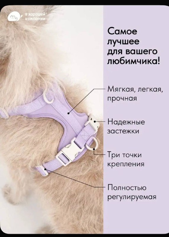 Шлейка для собаки, новая 3