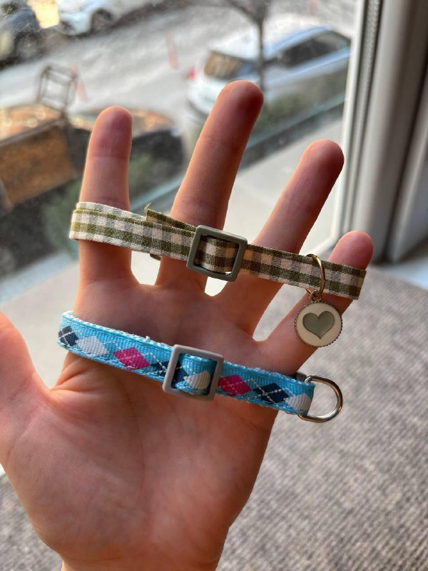 Защитный воротник, игрушки, ошейники, расчёска для животных 6