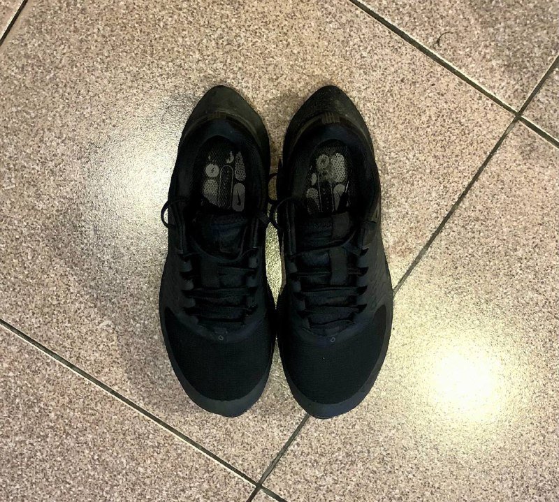 Беговые кроссовки Nike Air Zoom Pegasus 39 Shield 6