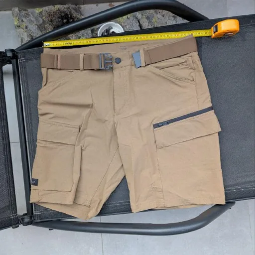 Мужские шорты Decathlon Forclaz Travel 900