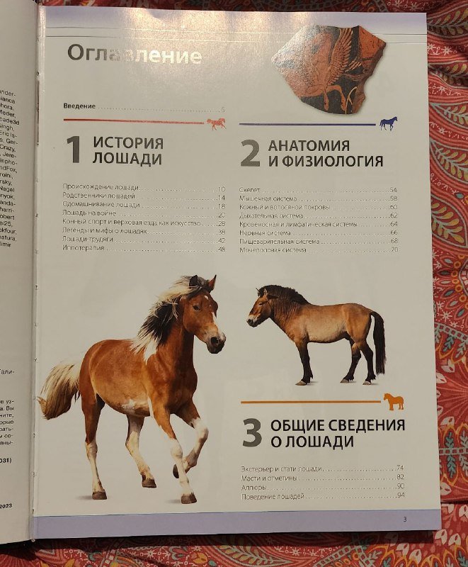 Энциклопедия ЛОШАДИ от истории до ухода 5