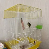 Канарейка с клеткой 1
