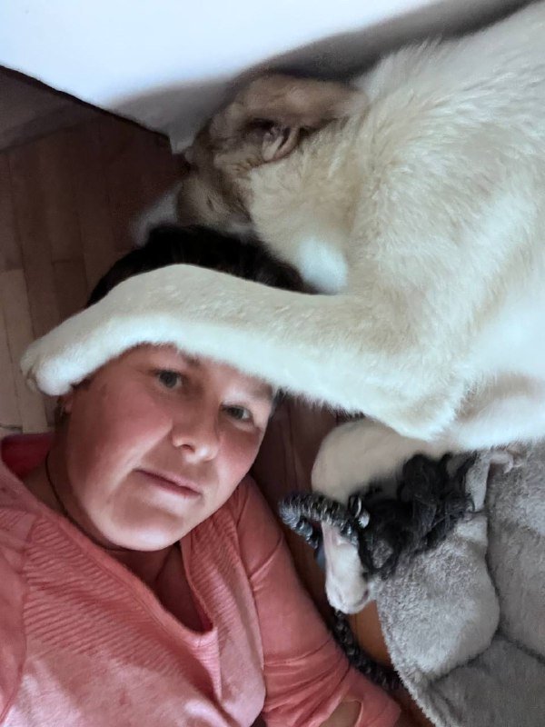 Щенок в хорошие руки с игрушками и лежанками 6