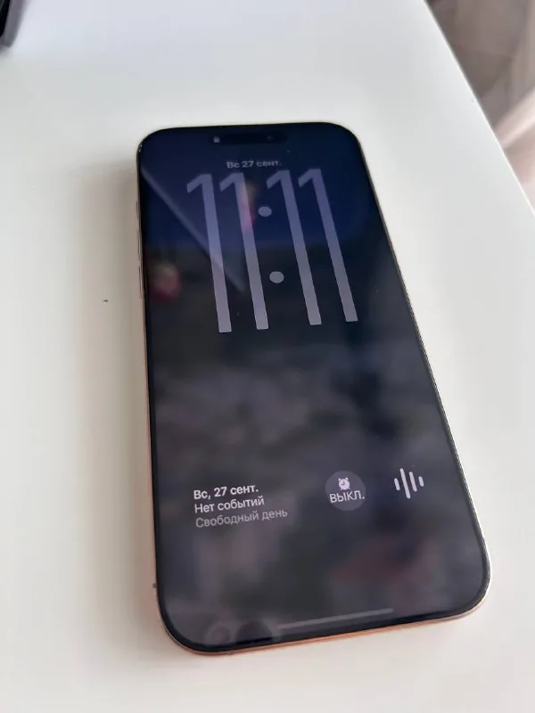 iPhone 16 Pro Max 256 GB Desert 1