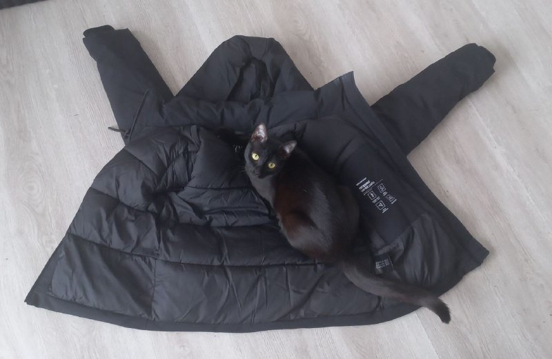 Тёплая куртка XS