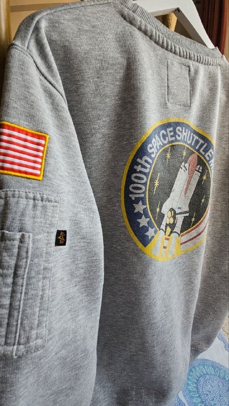 серый свитшот NASA x Alpha Industries 3