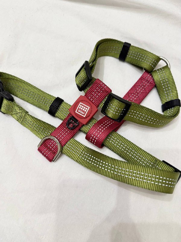 Шлейка анатомическая для собаки среднего размера