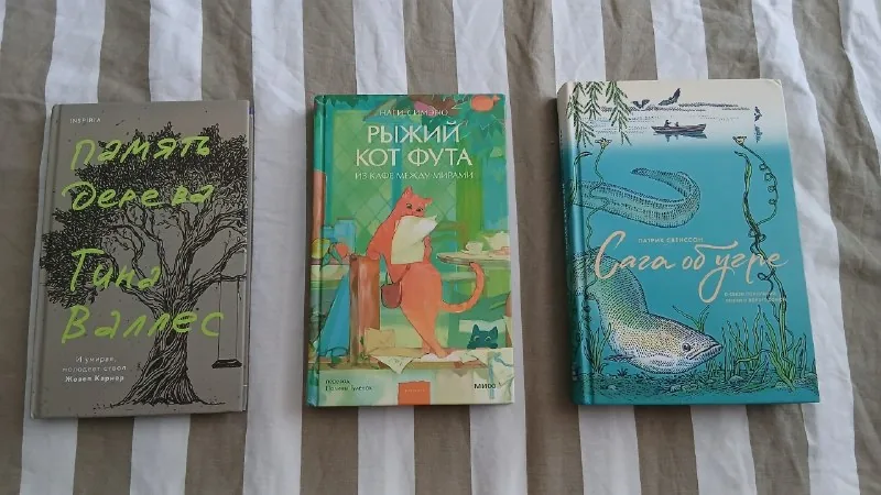 Память дерева, Рыжий кот Фута, Сага об угре