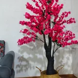 Дерево сакура 2