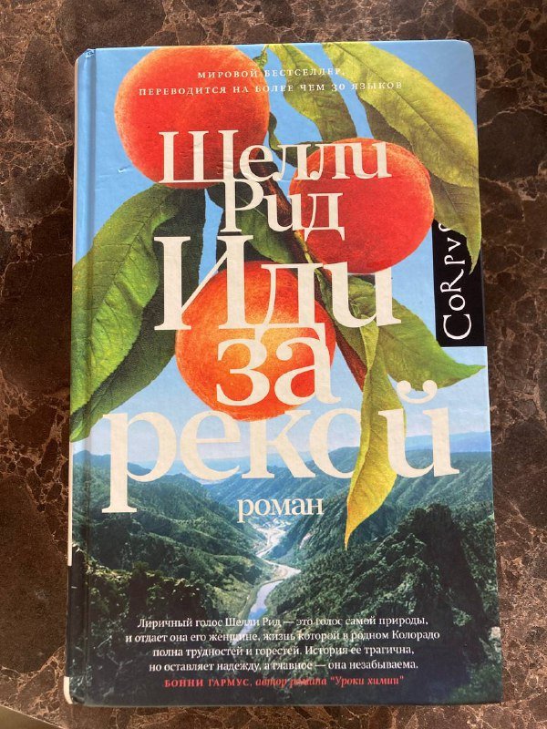 Книга Иди за рекой Шедли Рид