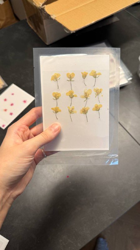 Розы в открытой упаковке 4