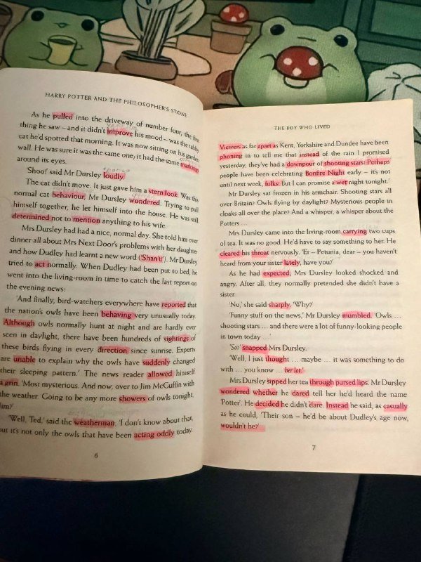 Книга Гарри Поттер и Филисофский Камень на английском 2