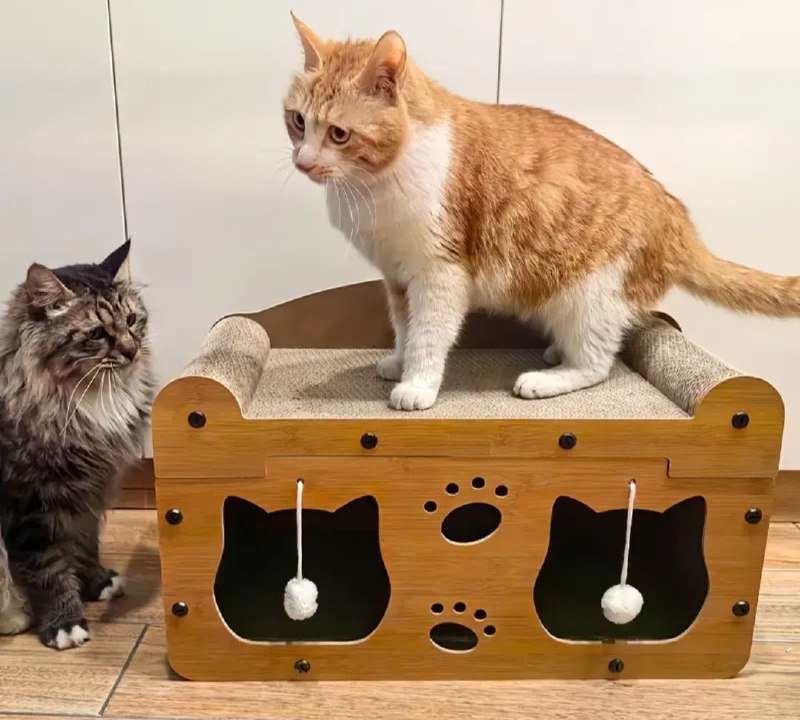 Халат, мочалки, стеклянные бутылочки, переноска для кошек, домик-когтеточка 5