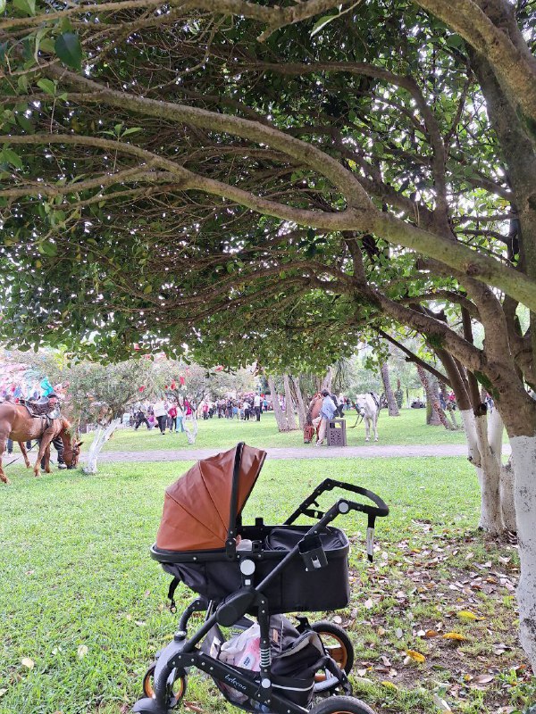 Стульчик для кормления, игровой центр, коляска 2