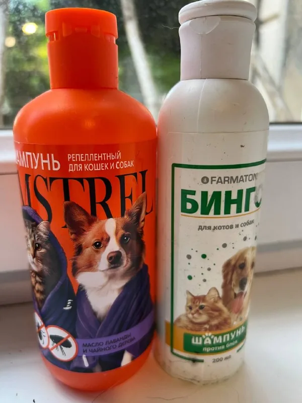 Шампуни от блох для кошек и собак 1