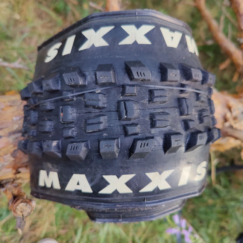 Maxxis Assegai 29 2.5 TR EXO велосипедная шина