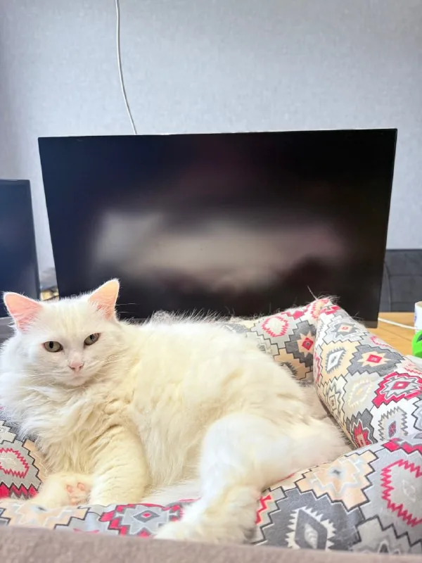Samsung 27 Curved монитор 1