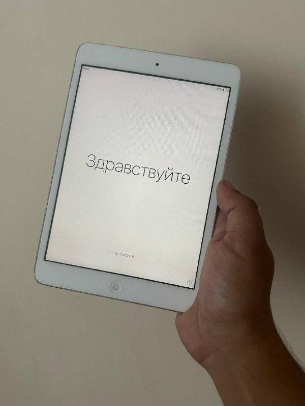 Ipad mini