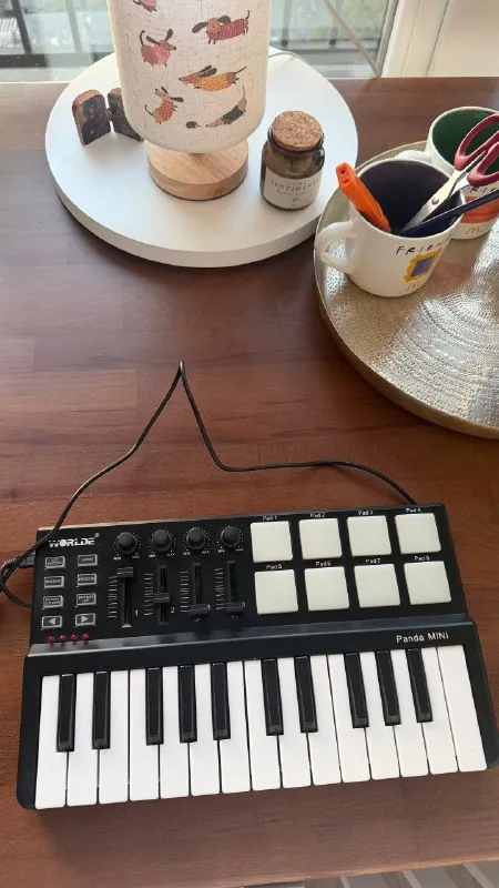 MIDI-клавиатура Worlde Panda Mini 1