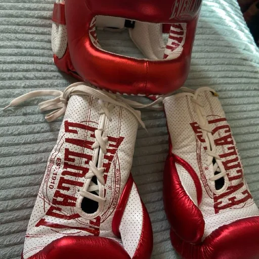 Боксерский шлем и перчатки Everlast
