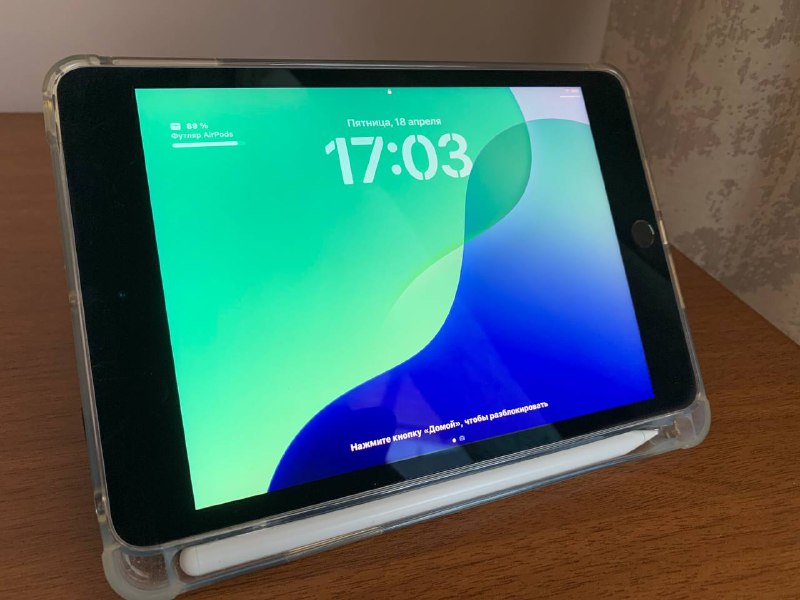 iPad mini 5 с чехлом и стилусом
