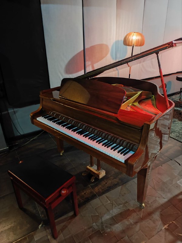 Gebr Niendorf baby grand piano, mics