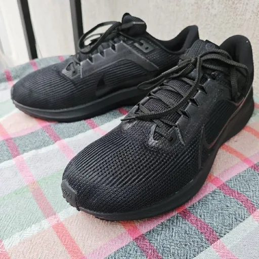 Nike Air Zoom Pegasus 40 кроссовки
