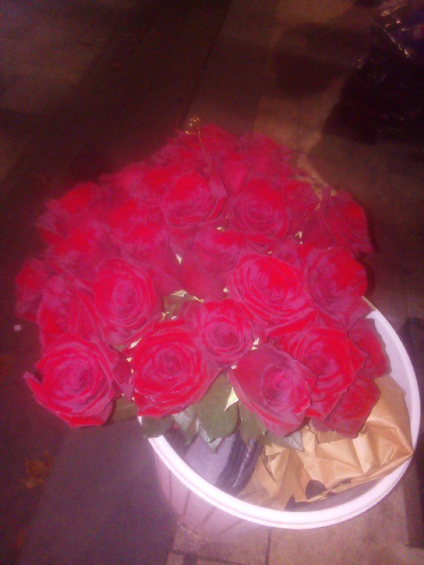 большой букет свежих роз